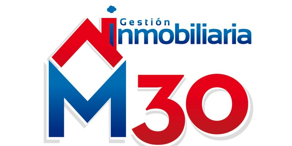 INMOBILIARIA M30 INMOBILIARIA M30