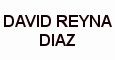 DAVID REINA DIAZ DAVID REINA DIAZ
