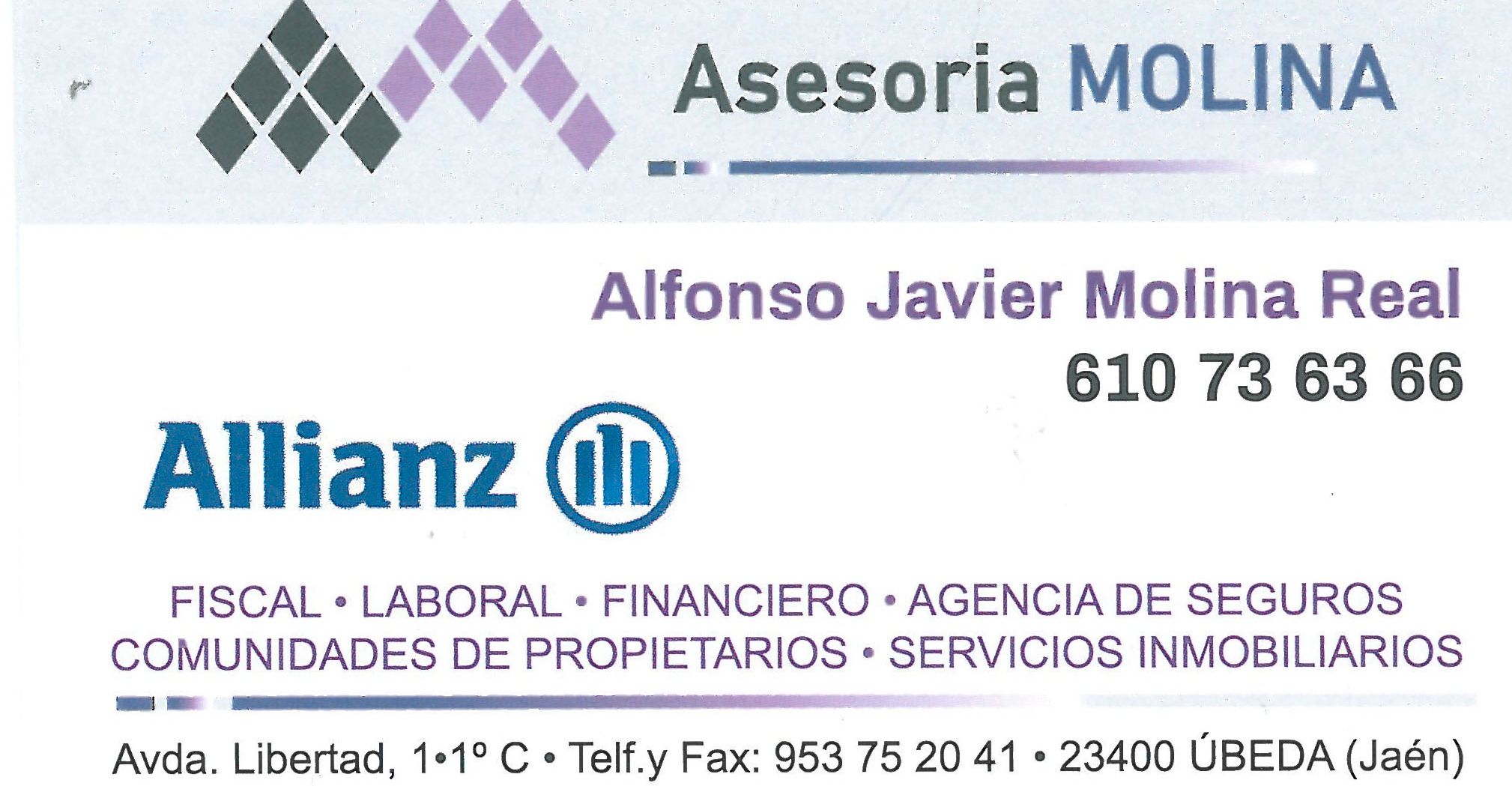 ASESORIA MOLINA ASESORIA MOLINA