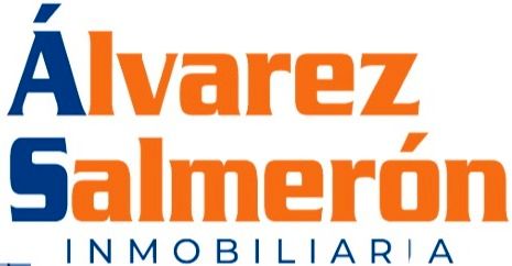 ALVAREZ SALMERON ALVAREZ SALMERON