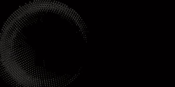 INSPIR INVERSIONS IMMOBILIARIES