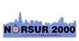 NORSUR 2000 GESTIONES PATRIMONIALES