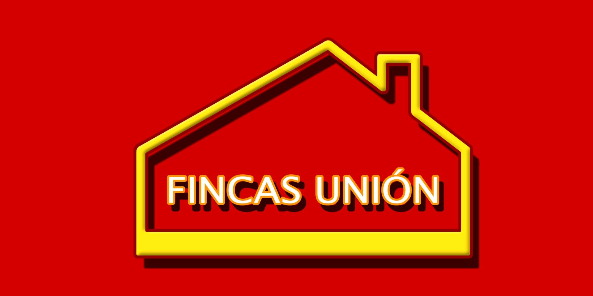 FINCAS UNION