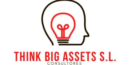 Think Big Assets Consultores