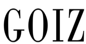 GOIZ INMOBILIARIA