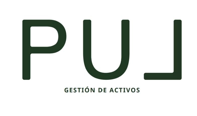 Pul Gestión Activos